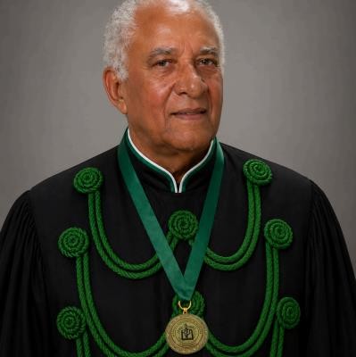 Retrato de Domingos da Silva Costa